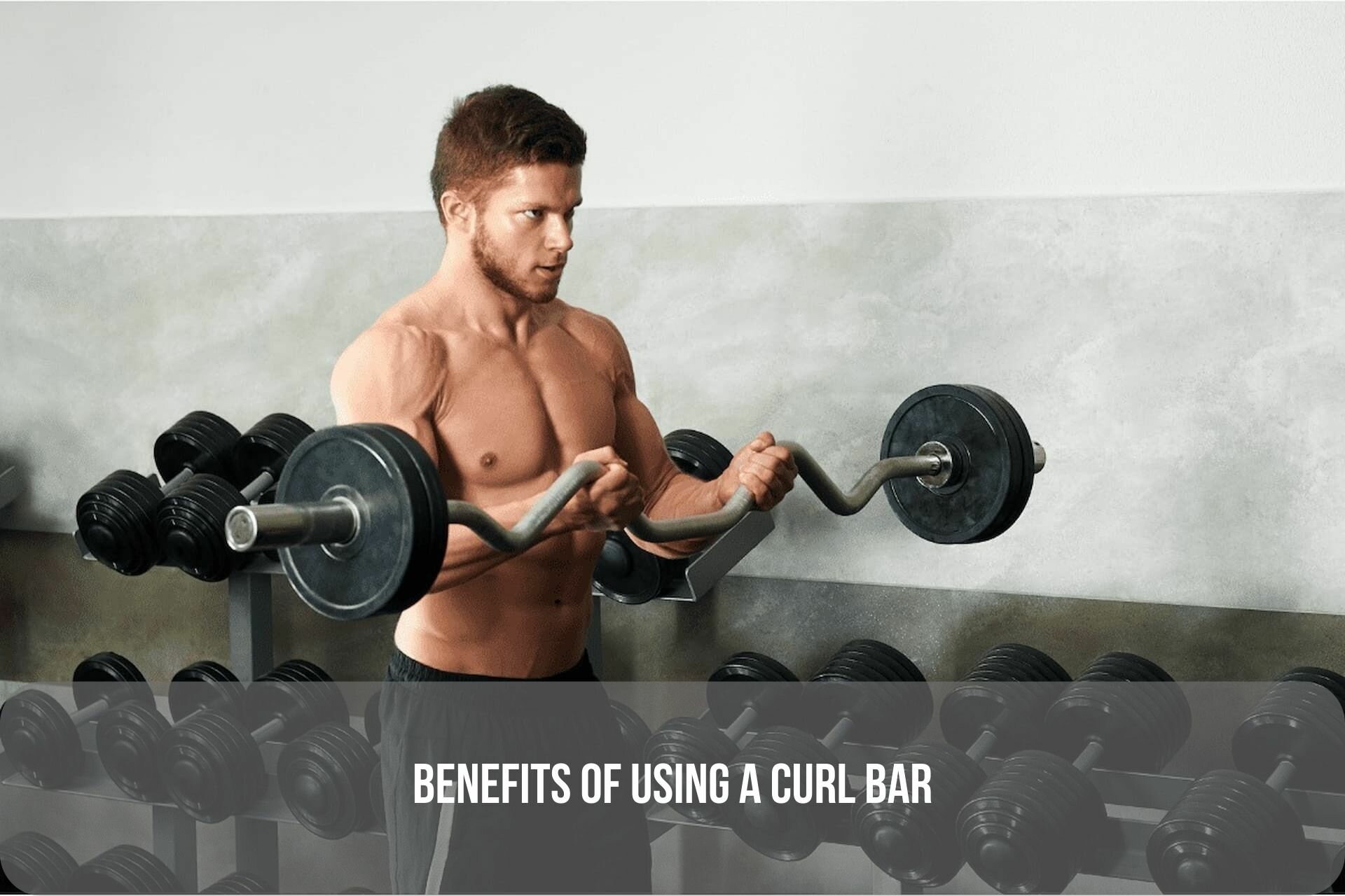 curl bar